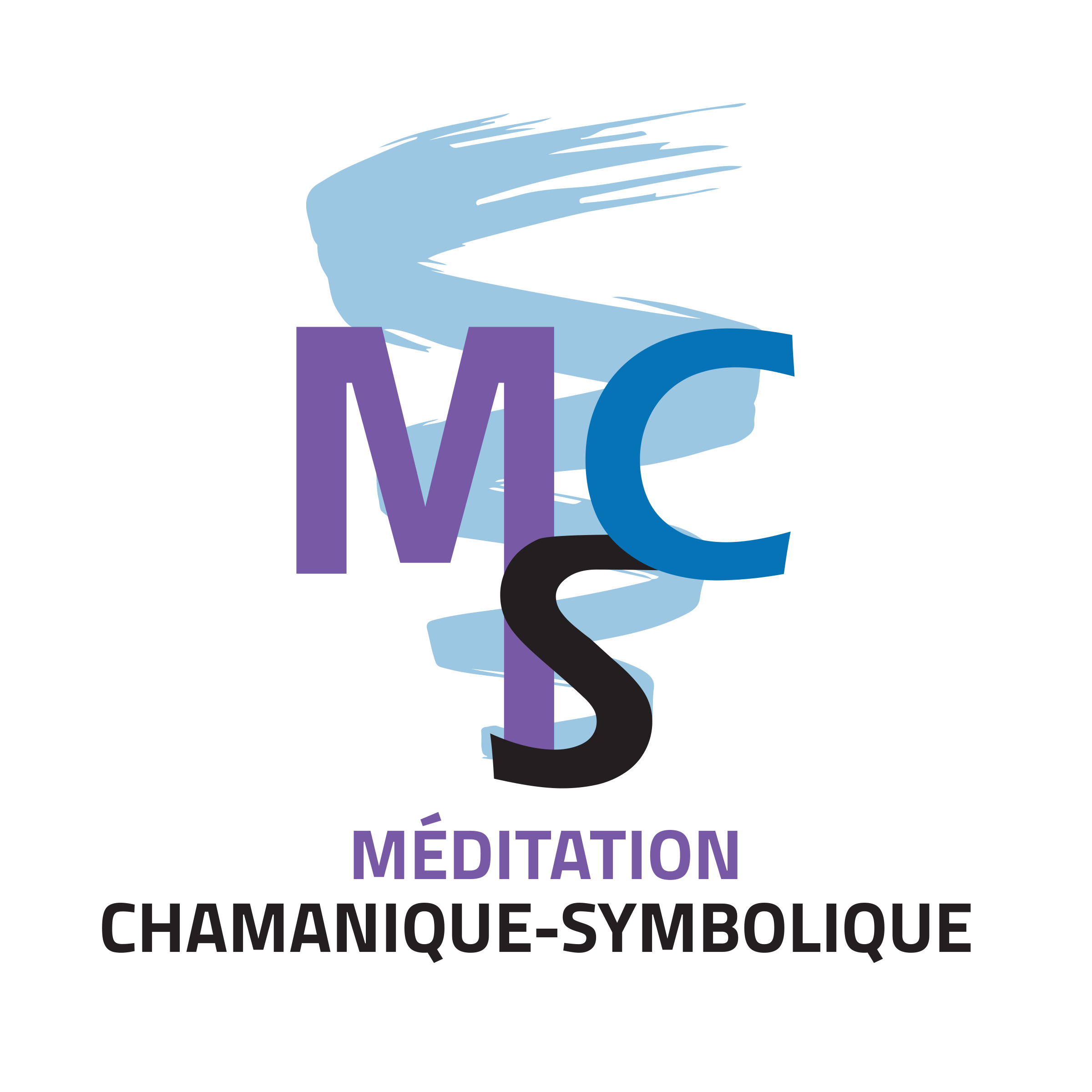 MCS Logo png